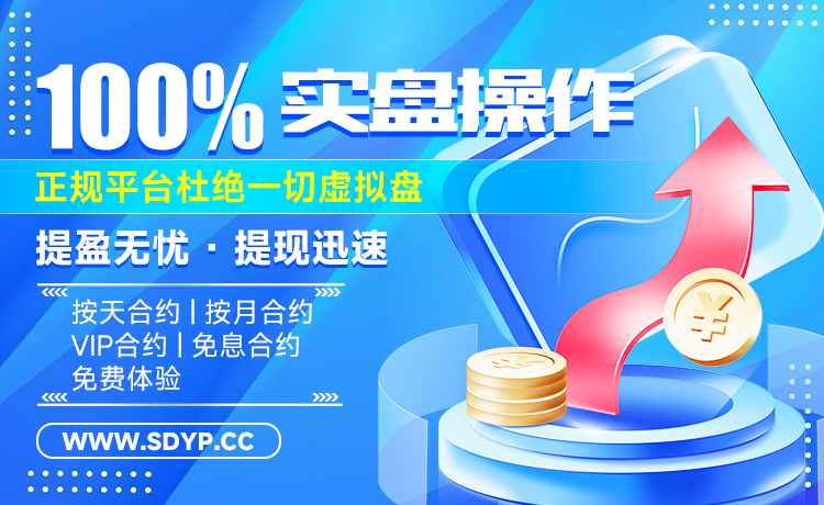 龙辉配资